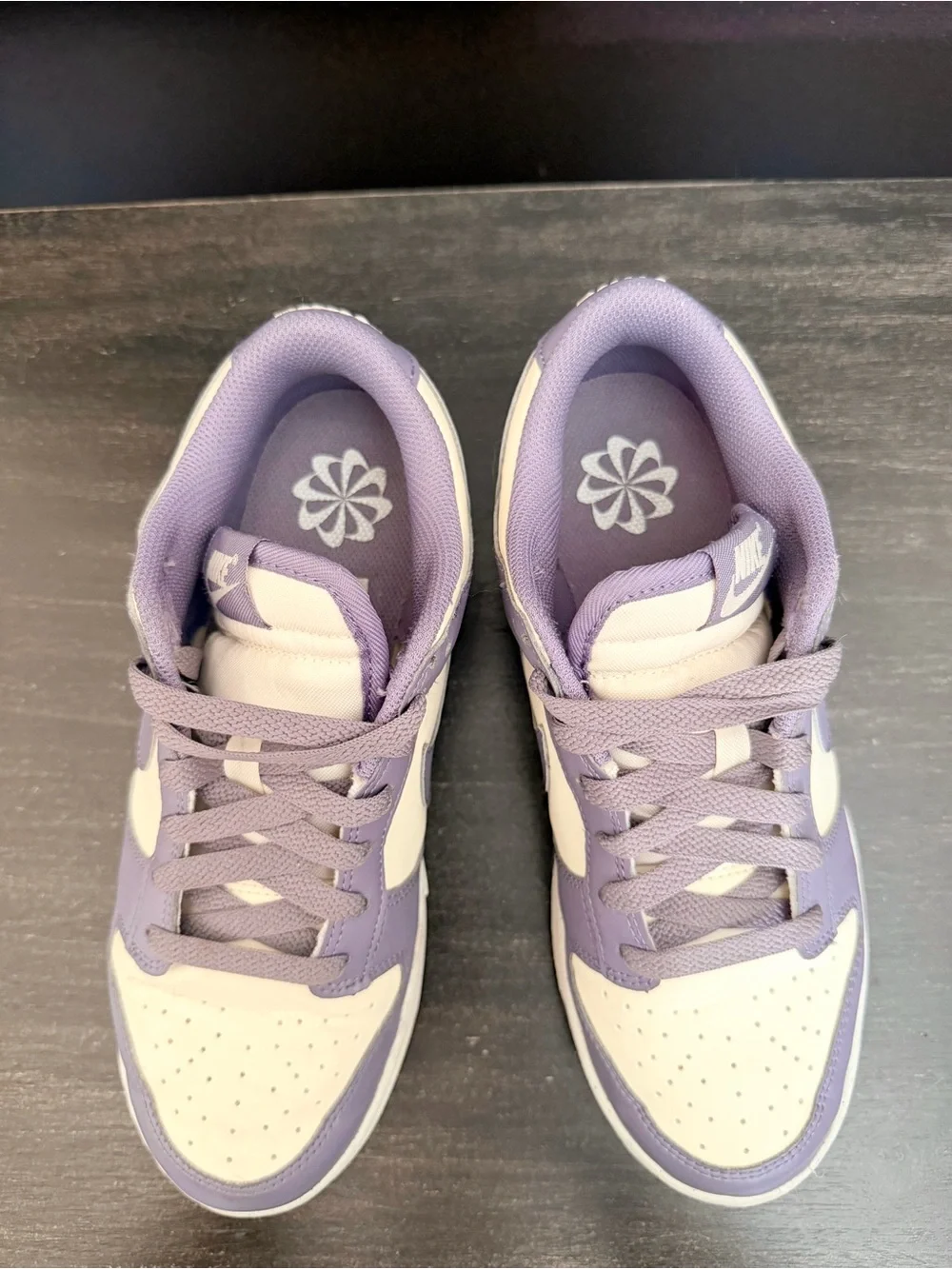 Nike Dunk Daybreak